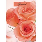 Journal/Notebook, Hardcover, Glossy Finish: Peach Roses