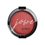 Jowe Professional 10 Sunset Blush Powder Blush Allık