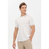JSCO Erkek Petek Dokulu Çizgili Polo Yaka T-Shirt - Beyaz - Bej