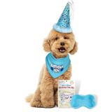 JT PET Bandana ile Köpek Doğum Günü Erkek Parti Paketi, Ayarlanabilir Elastik, Püsküllü ve Tüylü Süslemeli Yıldız Süslü Parti Şapkası, Doğum Günü Pastası Karışımı ve Tava, Küçük