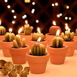 Juan's Moment 12 adet Kaktüs Tealight Mumlar Gelin Partisi Hediyeleri Boho Meksika Parti Dekorasyonları Sukulent Mum Mini Çay Işığı Bebek Duşu Hediyeleri Yenilik Fiesta Teraryum Bitki Mumları Toplu