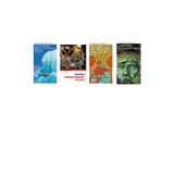 Jules Verne Buzullar Arasında Bir Kış +3 Adet Kitap Set