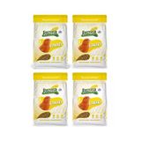 Jungle 4lü Kanarya Yemi Yüksek Vitaminli Zengin İçerik 400 gr X 4 ADET