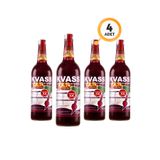 Jungle Healthy Food - Acılı Pancar Kvass 4 X 750 ml - Cam Şişe