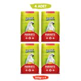 Jungle Papağan Yemi Çekirdekli Fıstıklı Yüksek Vitaminli 500 gr x 4 Adet