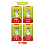 Jungle Papağan Yemi Çekirdekli Fıstıklı Yüksek Vitaminli 500 gr x 4 Adet