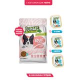 Jungle Yüksek Enerjili Kuzulu Köpek Maması 2.5 kg + 3 Adet 100gr Somon Ezme Hediye