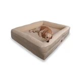 Jungolica Felix Köpek Yatağı Bej Küçük 55X75 Cm, Visco Sünger,%100 Su Geçirmez Alez, Çıkarılabilir Yıkanabilir Kılıf, Kaydırmaz Taban,