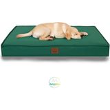 Jungolica Pet Products Eva Garden, %100 Su Geçirmez Alezli, Çıkarılabilir Kılıflı, Tüy ve Leke Tutmaz Kumaşlı Kedi ve Köpek Yatağı - Yeşil - 55 x 75 cm