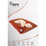 Jungolica Pet Products Puppy, Tırmalamaya Dayanıklı, Tüy Tutmayan Kumaş, Çıkarılabilir Kılıflı, Kedi, Köpek Yer Minderi