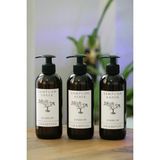 JUNIBELIW 3lü Set Amber Plastik Şişe Boş Bebek Şampuan Erkek Şampuan Kadın Şampuan Etiketli Şişe 3X400ML