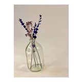 Juniberry Şeffaf Cam Şişe Şişesi Dekoratif Küçük Vazo 100ml Kapaksız (ÇİÇEKSİZ)( Y:9,5 Cm G:5 Cm)