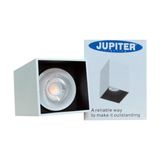 Jupiter Jüpiter S.ü. Beyaz ve Siyah Tavan Armatürü JC069BS