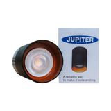 Jupiter Jüpiter S.ü. Siyah ve Altın Tavan Armatürü JC070SA