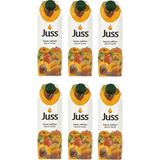 Juss 1 lt Kayısı Meyveli İçecek