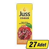 Juss Cooler Elma-Vişne Meyve Suyu 200 Ml 27'Li