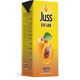 Juss Cooler Meyve Suyu Kayısı 200 ml 27'li