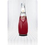Juss Vişne Suyu 740 ml