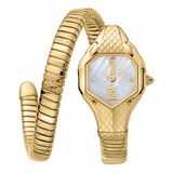 Just Cavalli JC1L190M0035 Kadın Kol Saati