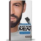 Just For Men Siyah Sakal ve Bıyık Boyası m-55 5010934002754