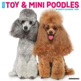 Just Toy & Miniature Poodles 2025 12 X 12 Duvar Takvimi