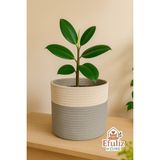 Jüt-Hasır Çok Amaçlı-Dekoratif-Organizer Saksı Sepeti, Bahçe Düzenleyici Sepet. (En:20-Boy:15 Cm) - Gri - Beyaz