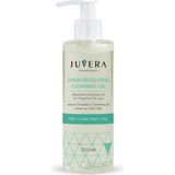 Juvera Cosmeceuticals Sebum Regulating Gel Yağlı ve Akneye Eğilimli Ciltler Için Temizleme Jeli 200 ml - 1 lt