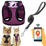 JVVGPET Küçük Köpekler, Yavru Köpekler, Kediler için Airtag Tutuculu Köpek Koşum Takımı - Küçük Köpek Koşumunda Çekme Basamağı Yok ve Yansıtıcı Köpek Tasma Seti Yürüyüş Eğitimi Seyahat Bakım Dış Mekan