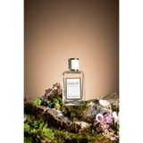 K012chl Love Edp 50ml Kadın Parfüm 342800000012