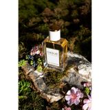 K32 Black Opium Edp Kadın Parfüm