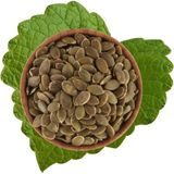 Kabak Çekirdek Içi Çiğ 500 G - 500 gr