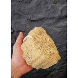 Kabak Lifi Bulaşık Süngeri Banyo Kesesi Kalın Büyük Parça Loofah Sponge Ipli Doğal Kabak Kesesi - Diğer