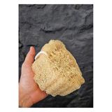 Kabak Lifi Bulaşık Süngeri Banyo Kesesi Kalın Büyük Parça Loofah Sponge İpli Doğal Kabak Kesesi