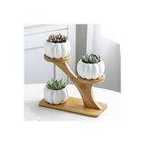 Kabak Sukulent Ve Kaktüs Saksısı 3lü (ÇİÇEK VE STAND DAHİL DEĞİLDİR) Sukulent 3lü