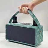 Kablosuz Mikrofon ile Bluetooth Hoparlör Çift Mikrofon Karaoke Hoparlörü 3D Stereo Amplifikatör Mini Bluetooth Hoparlör - Adaçayı Yeşili