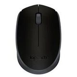 Kablosuz Usb Mouse Siyah 910-004424