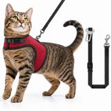 Kaçış Önleyici Kedi Gezdirme Tasması Ve Küçük Irk Köpek Gezdirme Tasması Kedi Göğüs Tasması Seti (Medium)