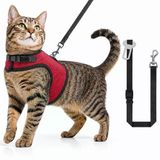 Kaçış Önleyici Kedi Gezdirme Tasması Ve Küçük Irk Köpek Gezdirme Tasması Kedi Göğüs Tasması Seti (Small)