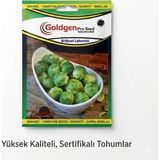 Kademgiller Atalık Geleneksel Brüksel Lahanası Tohumu Yüksek Verimli