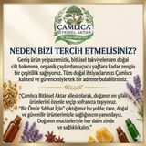 Kademgiller Atalık Geleneksel Su Kabağı Tohumu Yüksek Verimli