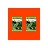 Kademgiller Brokoli Tohumu 2 Paket