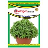 Kademgiller Top Fesleğen (Reyhan) Tohumu