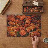 Kadife Çiçeği Tasarımı 240 Parça Ahşap Puzzle Ahşap Kutuda MP05440