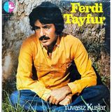 Kadıköy Plak Kulübü Ferdi Tayfur – Yuvasız Kuşlar Lp