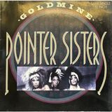 Kadıköy Plak Kulübü Pointer Sisters – Goldmine