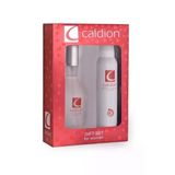 Kadın 100ml+deo 150ml Parfüm