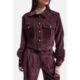 Kadın Bordo w6-52 Boxy Fit Pürüzsüz Velvet Kadife Kumaş Tasarım Ceket