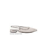 Kadın Gümüş Dar Kalıp Taş İşlemeli Sivri Burun Slingback Ayakkabı Babet