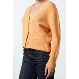 Kadın Modern Tarz Regular V Yaka Crop Triko Hırka