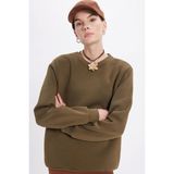 Kadın Oversize Geniş Kesim Pamuklu Yumuşak Dokulu İçi Polarlı Basic Yeşil Bisiklet Yaka Sweatshirt